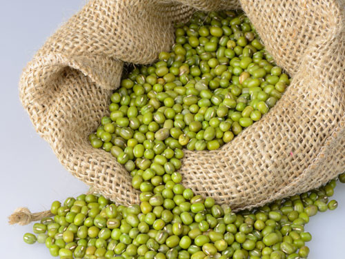Cara Menanam Kacang Hijau di Rumah, Cukup 5 Langkah Mudah