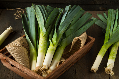 Tertarik Budidaya Daun Bawang Dirumah? Ini Caranya