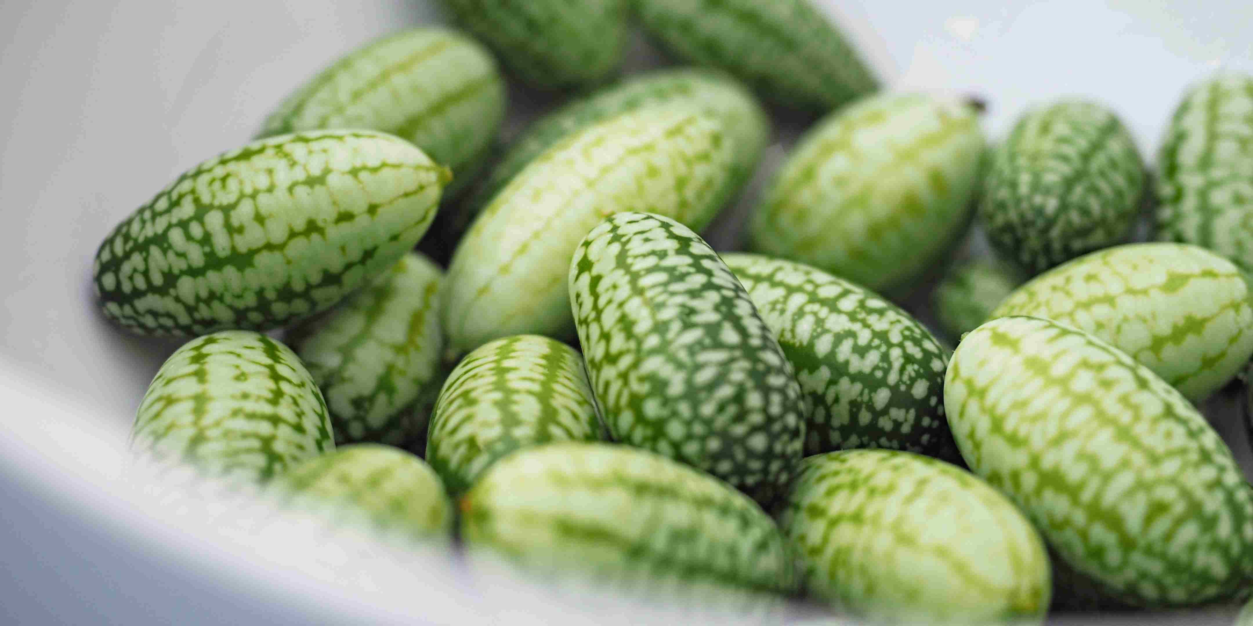 Mengenal Buah Cucamelon: Si Mini Mirip Semangka yang Segar dan Unik