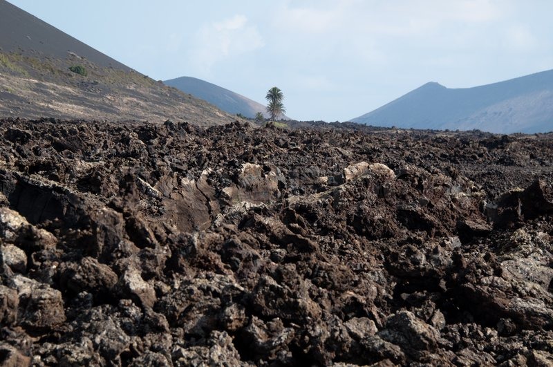 Tanah Vulkanik, Tanah Paling Subur Buat Tanaman?